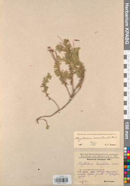 KPABG034254