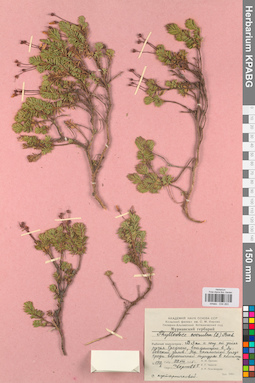 KPABG034263