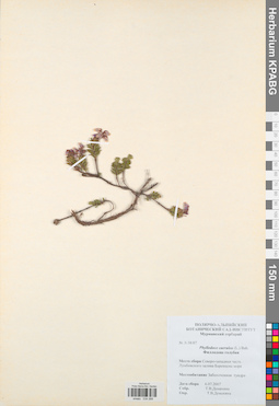 KPABG034268