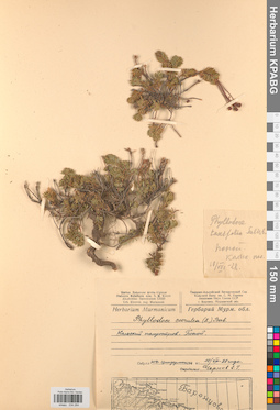 KPABG034284