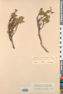 KPABG034292