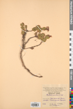 KPABG034297