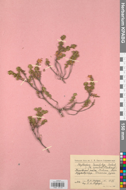 KPABG034305