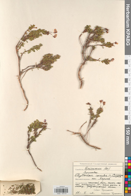 KPABG034315