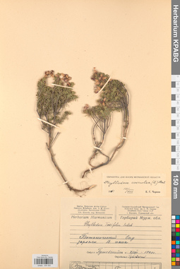 KPABG034322