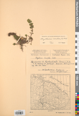 KPABG034323