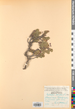KPABG034325