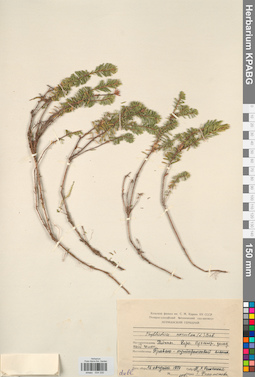 KPABG034330