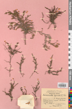 KPABG034334
