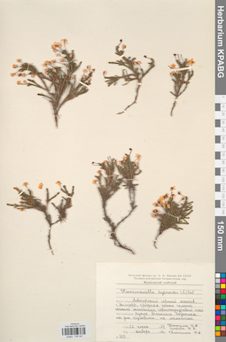 KPABG034341