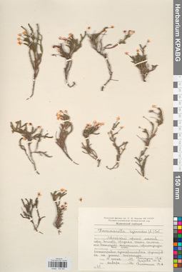 KPABG034345