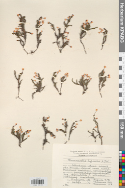 KPABG034346