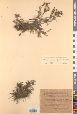 KPABG034354