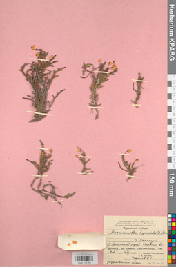 KPABG034356
