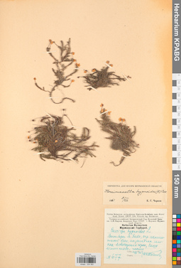 KPABG034360