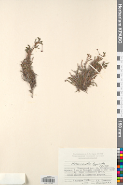 KPABG034364