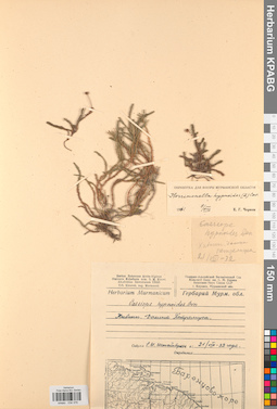 KPABG034378