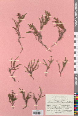 KPABG034382