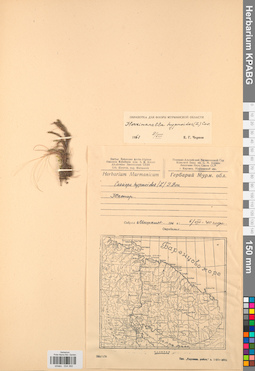KPABG034392