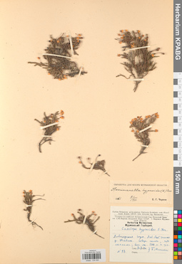 KPABG034393