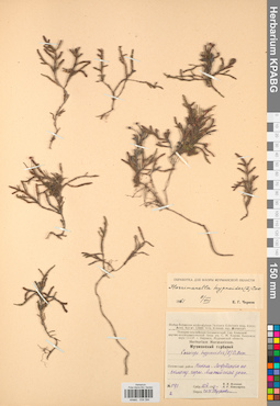 KPABG034394