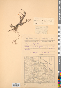 KPABG034396