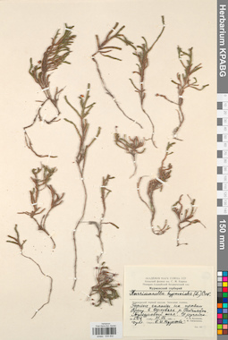 KPABG034402
