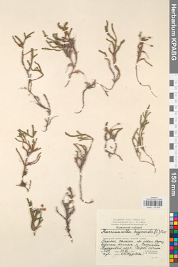 KPABG034405