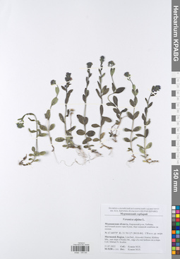 KPABG049345
