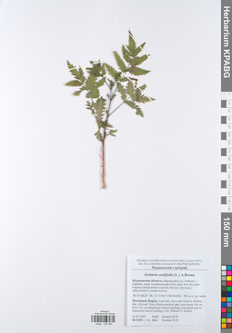 KPABG049368
