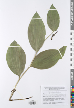 KPABG049372