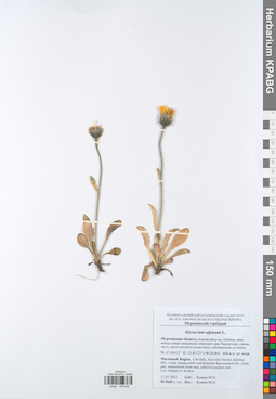 KPABG049439