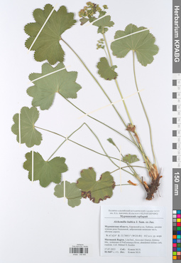 KPABG049469