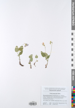 KPABG049504