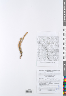 KPABG049552