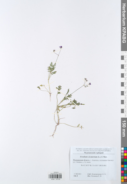 KPABG049586
