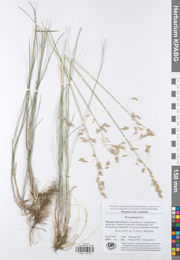 KPABG049593