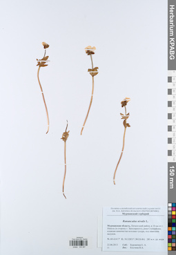 KPABG044087