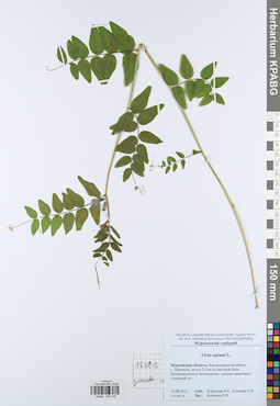 KPABG044135