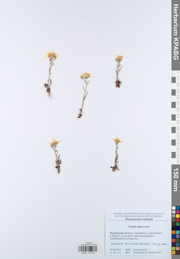 KPABG044153