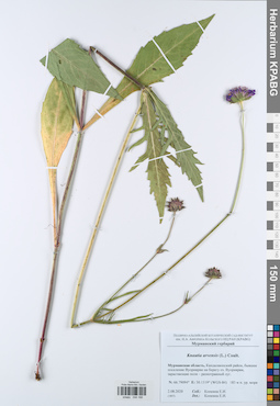 KPABG044166