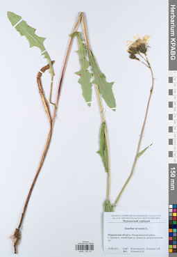 KPABG044170