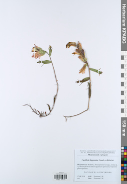 KPABG044175