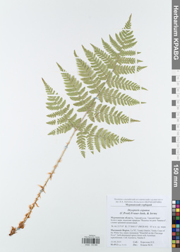 KPABG043686