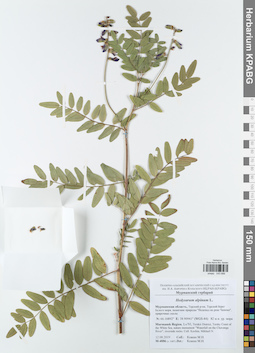 KPABG043688