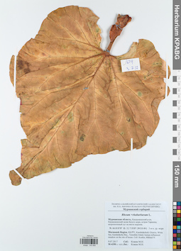 KPABG043856
