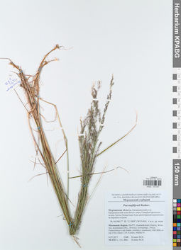 KPABG043857