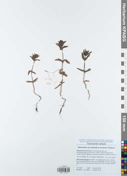 KPABG043870