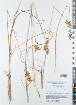KPABG043892