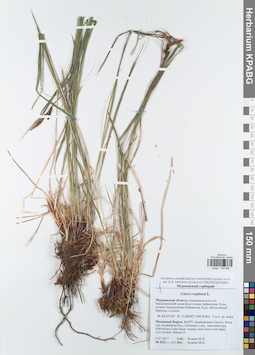 KPABG043898